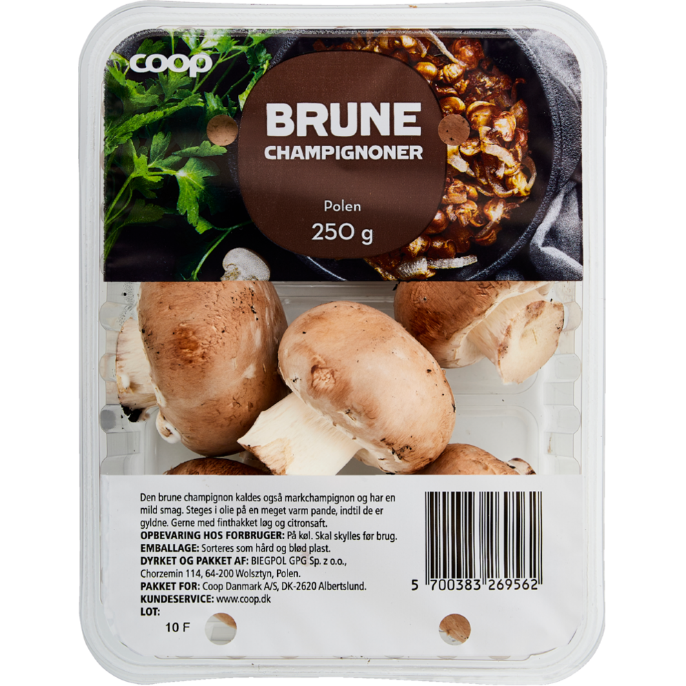 Brune champignoner